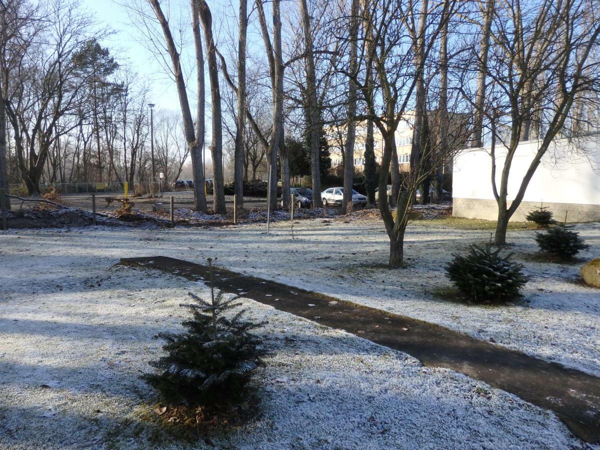 Zur Saale Hotel Weißenfels Buitenkant foto
